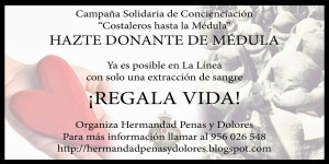 medula solidaria