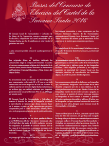 Bases del concurso