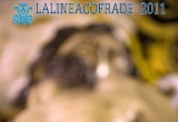 lalineacofrade