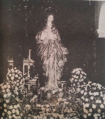 1977-42-patrona